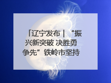 辽宁发布｜“振兴新突破 决胜勇争先”铁岭市坚持“项目为王”推进经济高质量发展