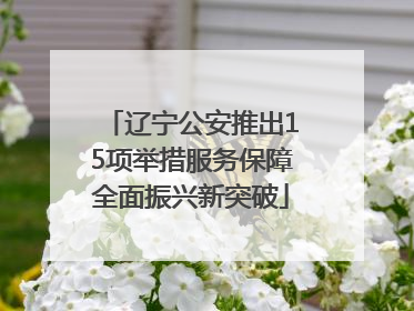 辽宁公安推出15项举措服务保障全面振兴新突破