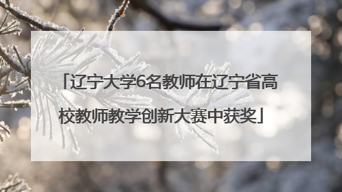 辽宁大学6名教师在辽宁省高校教师教学创新大赛中获奖