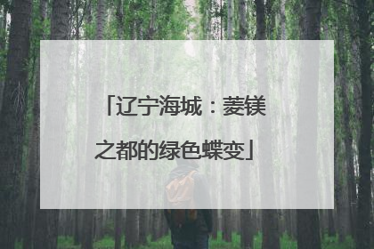 辽宁海城：菱镁之都的绿色蝶变