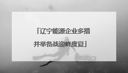 辽宁能源企业多措并举备战迎峰度夏