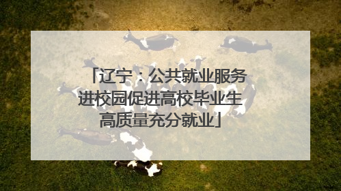 辽宁：公共就业服务进校园促进高校毕业生高质量充分就业