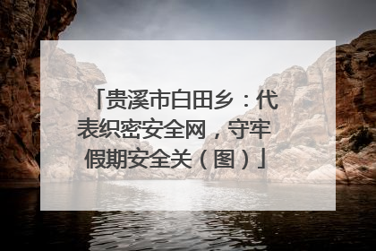 贵溪市白田乡：代表织密安全网，守牢假期安全关（图）