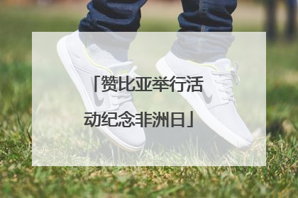 赞比亚举行活动纪念非洲日