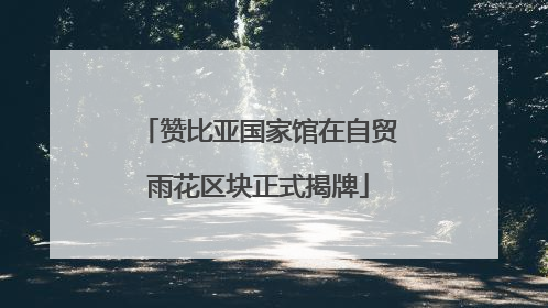 赞比亚国家馆在自贸雨花区块正式揭牌