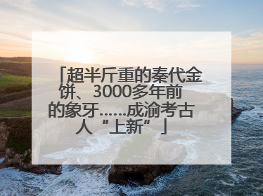 超半斤重的秦代金饼、3000多年前的象牙……成渝考古人“上新”