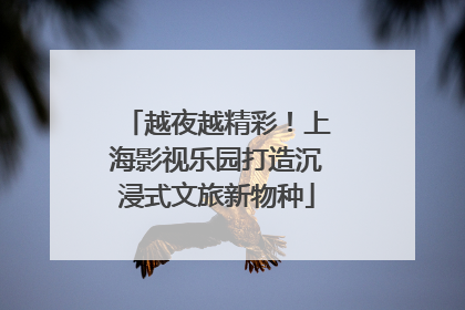 越夜越精彩！上海影视乐园打造沉浸式文旅新物种
