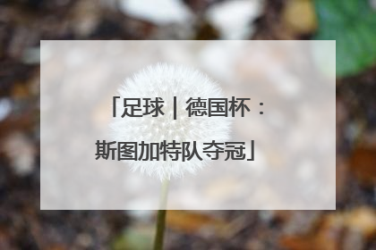足球｜德国杯：斯图加特队夺冠