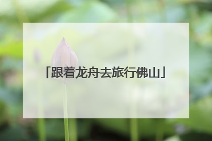 跟着龙舟去旅行佛山