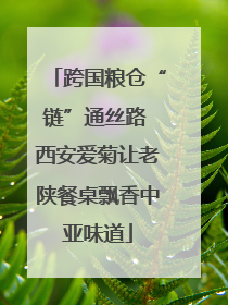 跨国粮仓“链”通丝路 西安爱菊让老陕餐桌飘香中亚味道