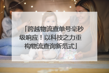 跨越物流查单号毫秒级响应！以科技之力重构物流查询新范式