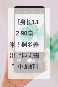 身长132.90毫米！桐乡养出“巨无霸”小龙虾