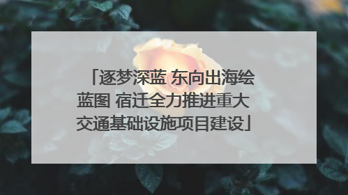 逐梦深蓝 东向出海绘蓝图 宿迁全力推进重大交通基础设施项目建设