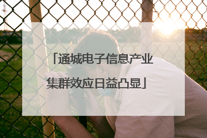 通城电子信息产业集群效应日益凸显