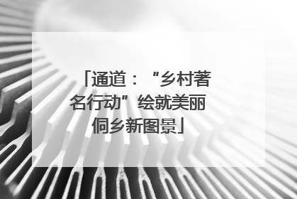 通道：“乡村著名行动”绘就美丽侗乡新图景