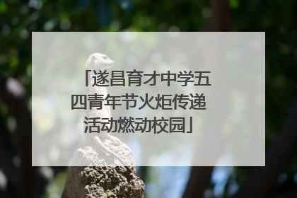 遂昌育才中学五四青年节火炬传递活动燃动校园