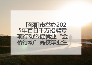 邵阳市举办2025年百日千万招聘专项行动暨促就业“金桥行动”高校毕业生专场招聘会