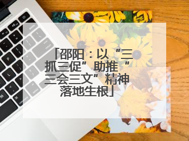 邵阳：以“三抓三促”助推“三会三文”精神落地生根