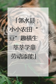邻水县：小小农田“豆”趣横生 莘莘学童劳动添能