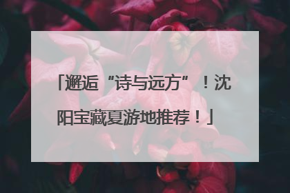 邂逅“诗与远方”！沈阳宝藏夏游地推荐！
