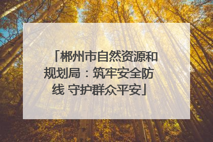 郴州市自然资源和规划局：筑牢安全防线 守护群众平安