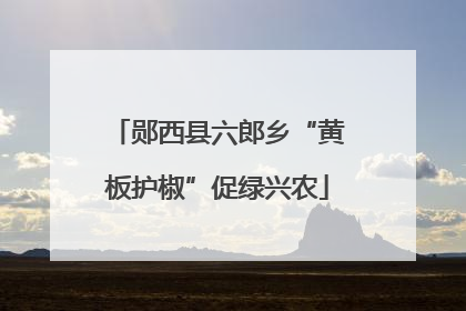 郧西县六郎乡“黄板护椒”促绿兴农