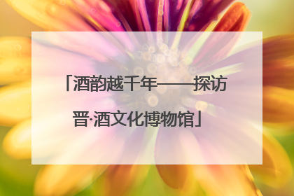 酒韵越千年——探访晋·酒文化博物馆