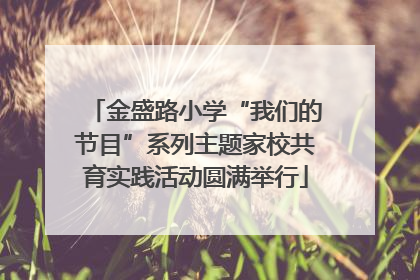 金盛路小学“我们的节目”系列主题家校共育实践活动圆满举行