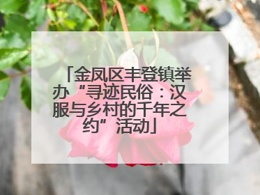 金凤区丰登镇举办“寻迹民俗：汉服与乡村的千年之约”活动