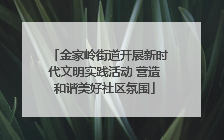 金家岭街道开展新时代文明实践活动 营造和谐美好社区氛围
