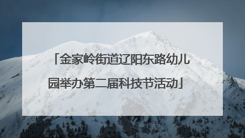 金家岭街道辽阳东路幼儿园举办第二届科技节活动