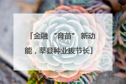 金融 “育苗” 新动能，莘县种业拔节长