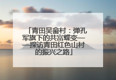 青田吴畲村：弹孔军旗下的共富蝶变——探访青田红色山村的振兴之路