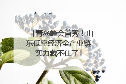 青岛峰会首秀！山东低空经济全产业链实力藏不住了
