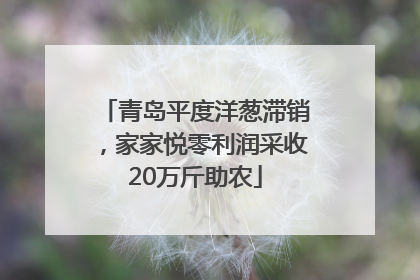 青岛平度洋葱滞销，家家悦零利润采收20万斤助农