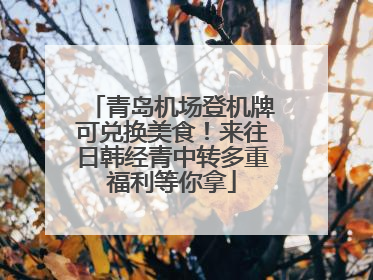 青岛机场登机牌可兑换美食！来往日韩经青中转多重福利等你拿