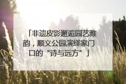 非遗皮影邂逅园艺雅韵，顺义公园演绎家门口的“诗与远方”