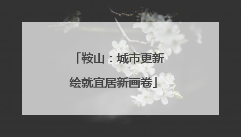 鞍山：城市更新绘就宜居新画卷