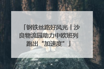 钢铁丝路好风光丨沙良物流园助力中欧班列跑出“加速度”