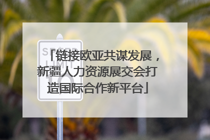 链接欧亚共谋发展，新疆人力资源展交会打造国际合作新平台