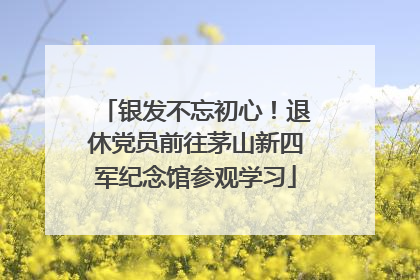 银发不忘初心！退休党员前往茅山新四军纪念馆参观学习