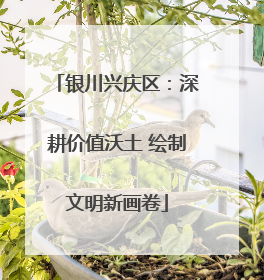 银川兴庆区：深耕价值沃土 绘制文明新画卷