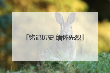 铭记历史 缅怀先烈
