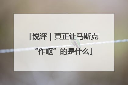 锐评｜真正让马斯克“作呕”的是什么