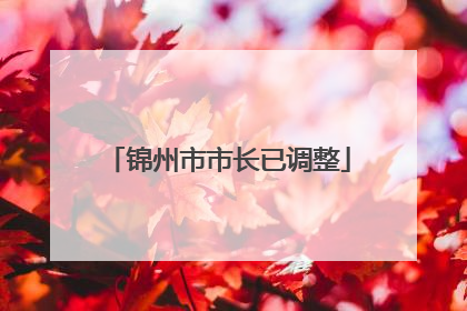 锦州市市长已调整