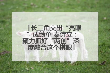 长三角交出“亮眼”成绩单 秦诗立：聚力抓好“两创”深度融合这个棋眼