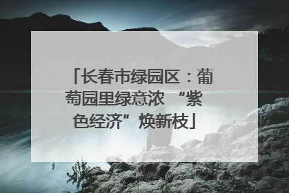 长春市绿园区：葡萄园里绿意浓 “紫色经济”焕新枝