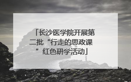 长沙医学院开展第二批“行走的思政课”红色研学活动