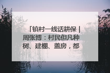 镇村一线话耕保｜周张博：村民但凡种树、建棚、盖房，都要向街道报批