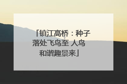 镇江高桥：种子落处飞鸟至 人鸟和谐趣景来